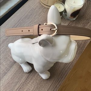 Metallic Relic belt